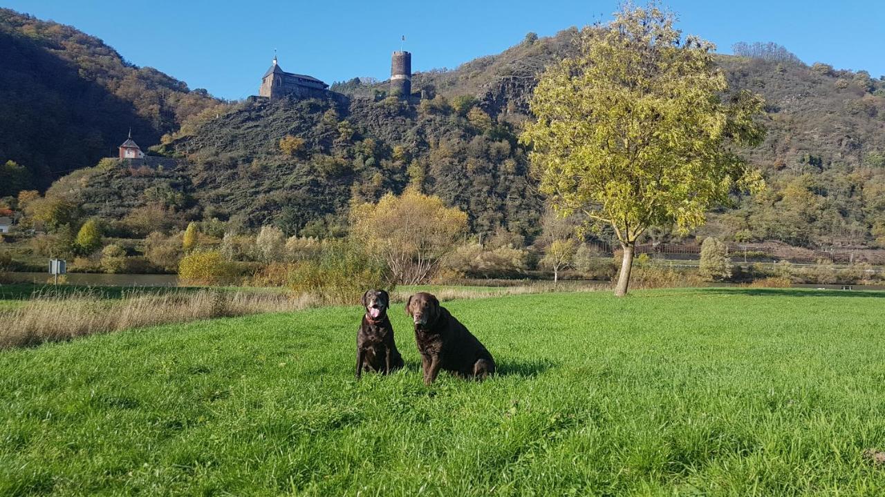 Ferienhaus Leopold Mit Burgblick An Der Mosel Burgen  Luaran gambar