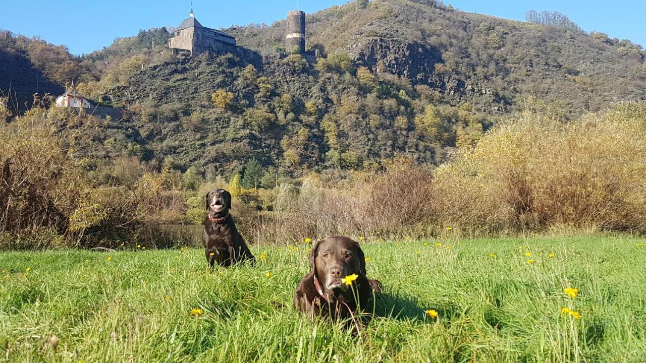 Ferienhaus Leopold Mit Burgblick An Der Mosel Burgen  Luaran gambar