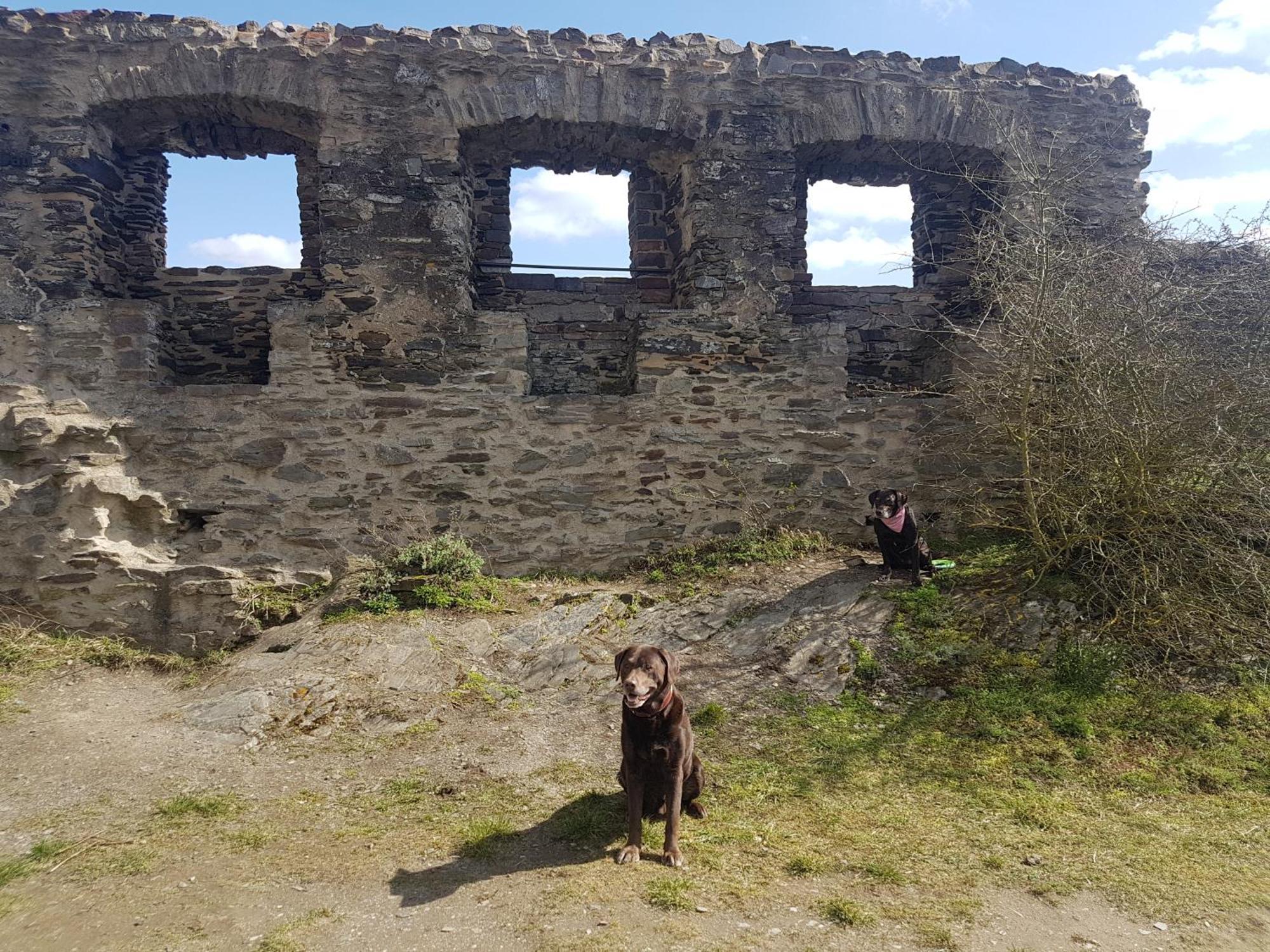 Ferienhaus Leopold Mit Burgblick An Der Mosel Burgen  Luaran gambar